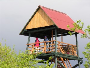 "Putni.lv" Lubāna Zvidzes kanāla tornī. Foto. P. Strautiņš