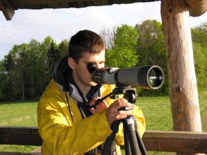 Mārcis Tīrums ("Himantopus himantopus").  Foto P. Strautiņš