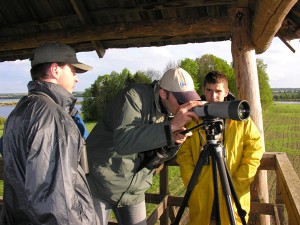 Kaspars Funts, Mareks Kilups un M. Tīrums ("H. himantopus").  Foto P. Strautiņš