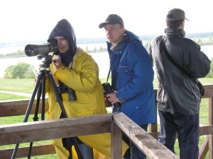M. Tīrums, M. Vimba un K. Funts ("H. himantopus").  Foto P. Strautiņš