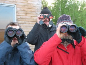 R. Rekmanis, D. Krīgens, A. Stīpniece ("Čiri-čiri čirrrr").  Foto: S. Kosobokovs