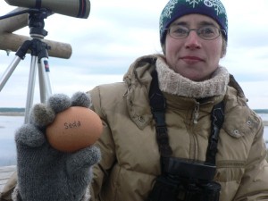 I. Mārdega ar torņu izlozes olu ("LOB").  Foto: E. Račinskis