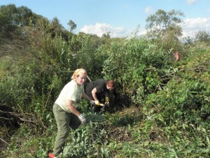 Foto: Ilze Vilšķērste