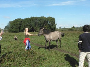 Foto: I. Vilšķērste