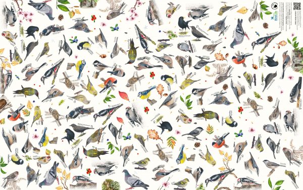 Dalība "Ziņo par putniem dārzā" + DĀVANU PAPĪRS