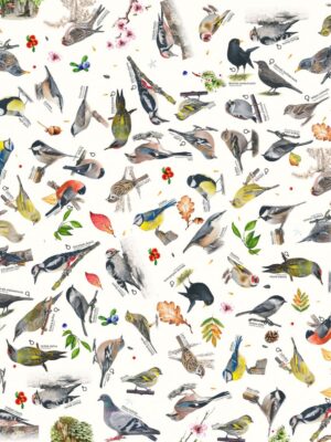 Dalība "Ziņo par putniem dārzā" + DĀVANU PAPĪRS