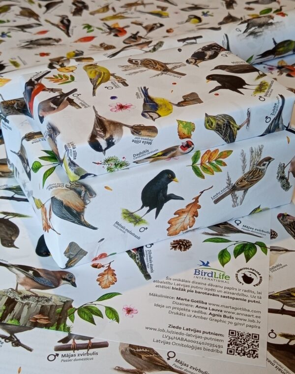 6+6 Dalība "Ziņo par putniem dārzā" + DĀVANU PAPĪRS