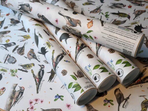 3+1 Dalība "Ziņo par putniem dārzā" + DĀVANU PAPĪRS