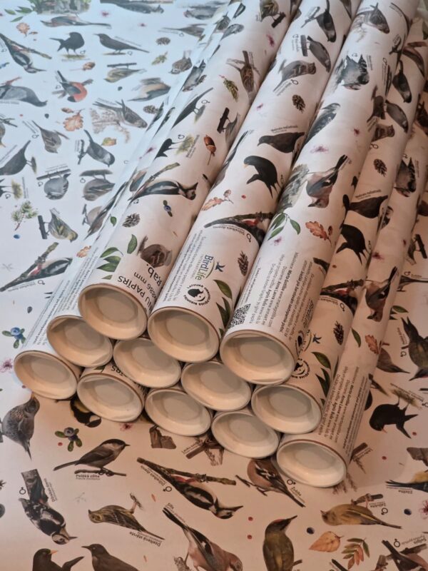 6+6 Dalība "Ziņo par putniem dārzā" + DĀVANU PAPĪRS