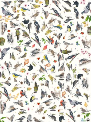 Dalība "Ziņo par putniem dārzā" + DĀVANU PAPĪRS