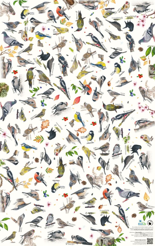 Dalība "Ziņo par putniem dārzā" + DĀVANU PAPĪRS