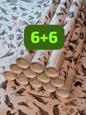 6+6 Dalība "Ziņo par putniem dārzā" + DĀVANU PAPĪRS