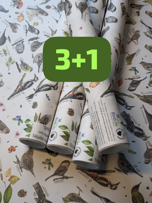 3+1 Dalība "Ziņo par putniem dārzā" + DĀVANU PAPĪRS