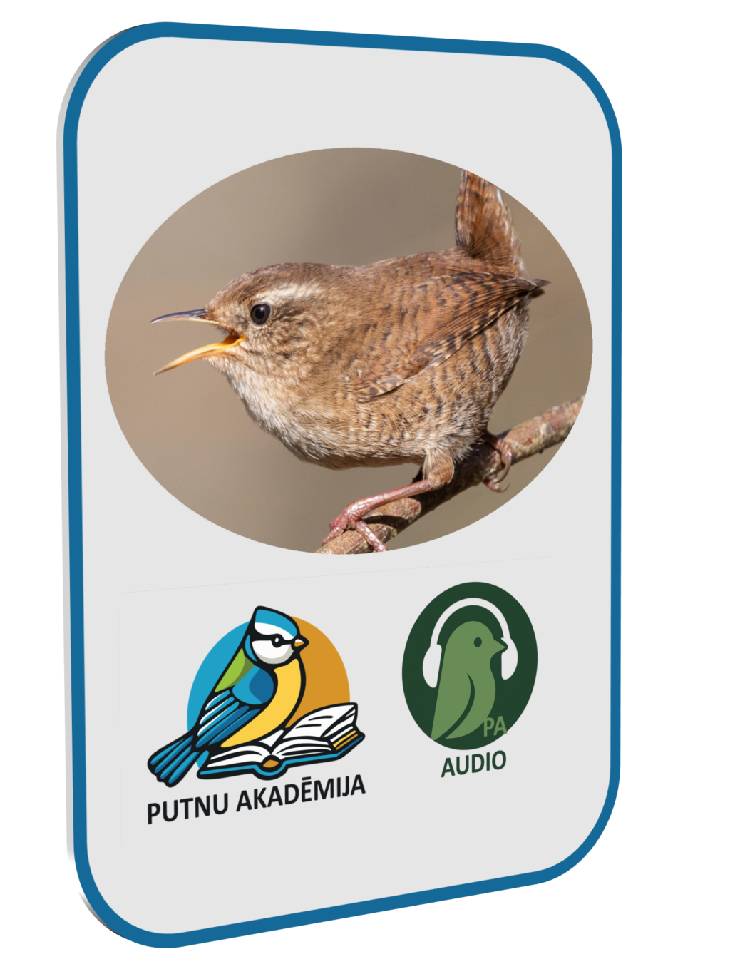 Putnu_akademija_AUDIO Putnu AUDIO apmācības 1.daļa (ar priekšzināšanām)