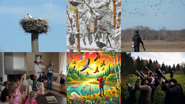 Putnu akadēmijas PAMATA nodarbības iesācējiem