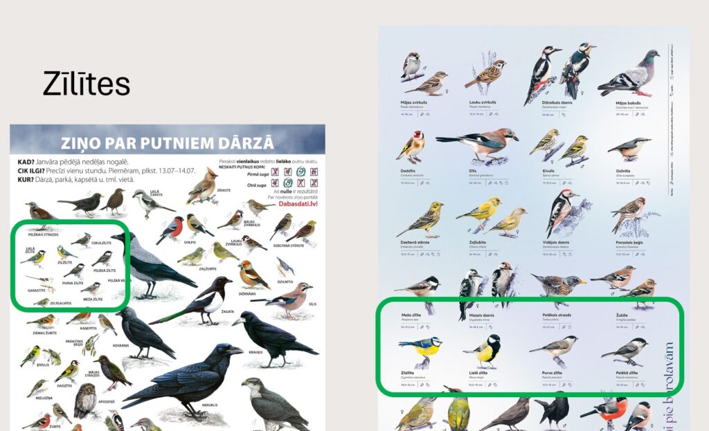 Putnu_akademija_slaidi_3 Putnu akadēmijas PAMATA nodarbības iesācējiem