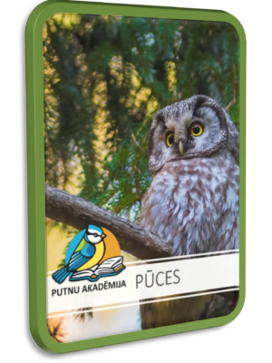 Latvijas pūces (video lekcijas)