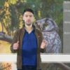 Latvijas pūces (video lekcijas)